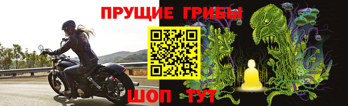 Псилоцибиновые грибы прущие грибы  Вход с VPN  Зеленодольск 